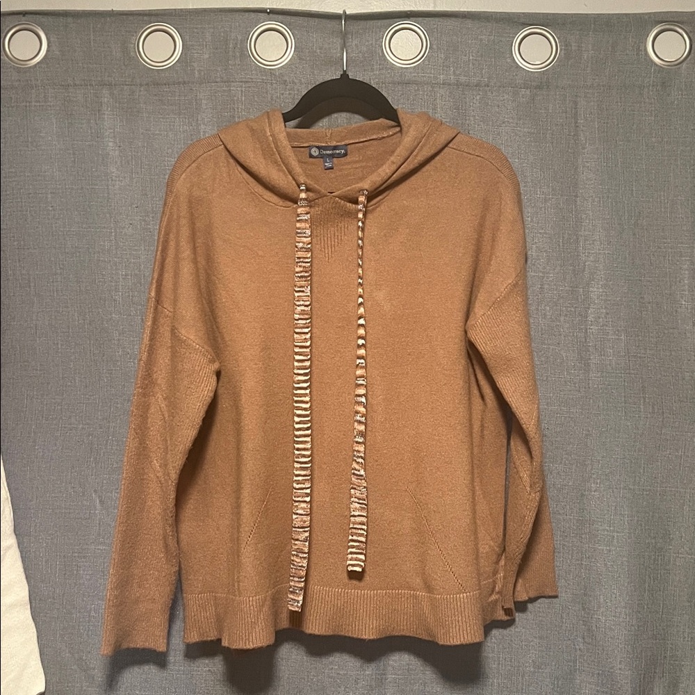 Democracy Brown Hooded Sweater